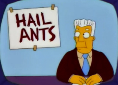 ants